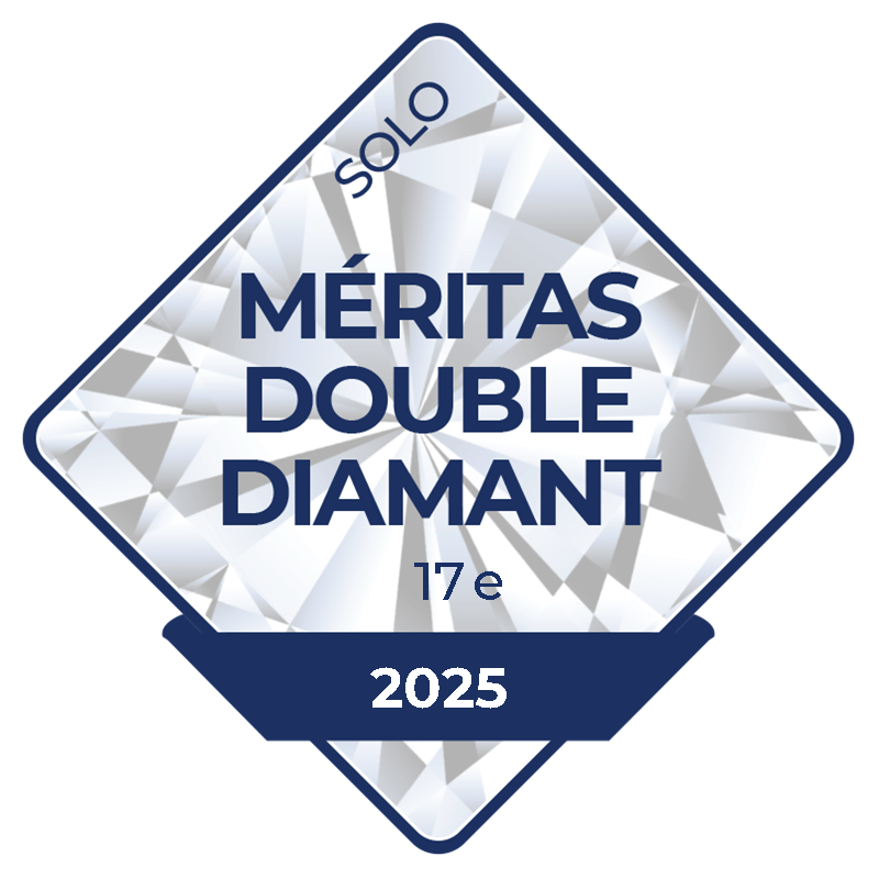 Insigne Méritas Double Diamant solo 2025 décerné à David Proulx